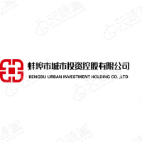 蚌埠市城市投资控股有限公司