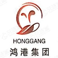 安徽鸿港投资集团